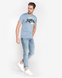 Футболка чоловіча Jack & Jones 177375-catalog